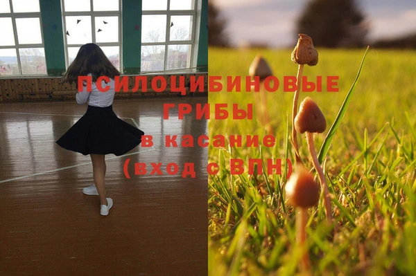стафф Абинск