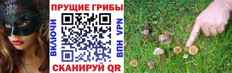 Псилоцибиновые грибы MAGIC MUSHROOMS  Сольцы 